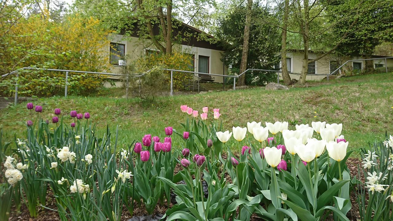 Gaestehaus Chorin Buitenkant foto